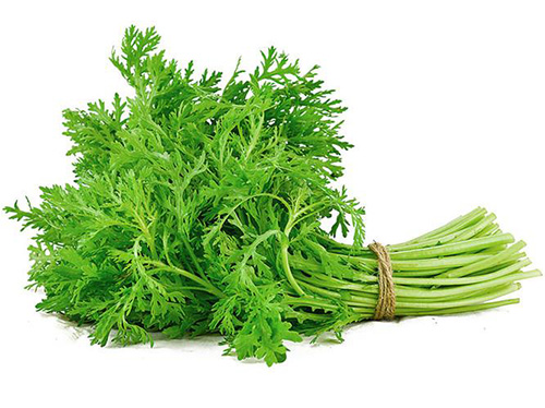初春野菜味道香，吃法正確才健康